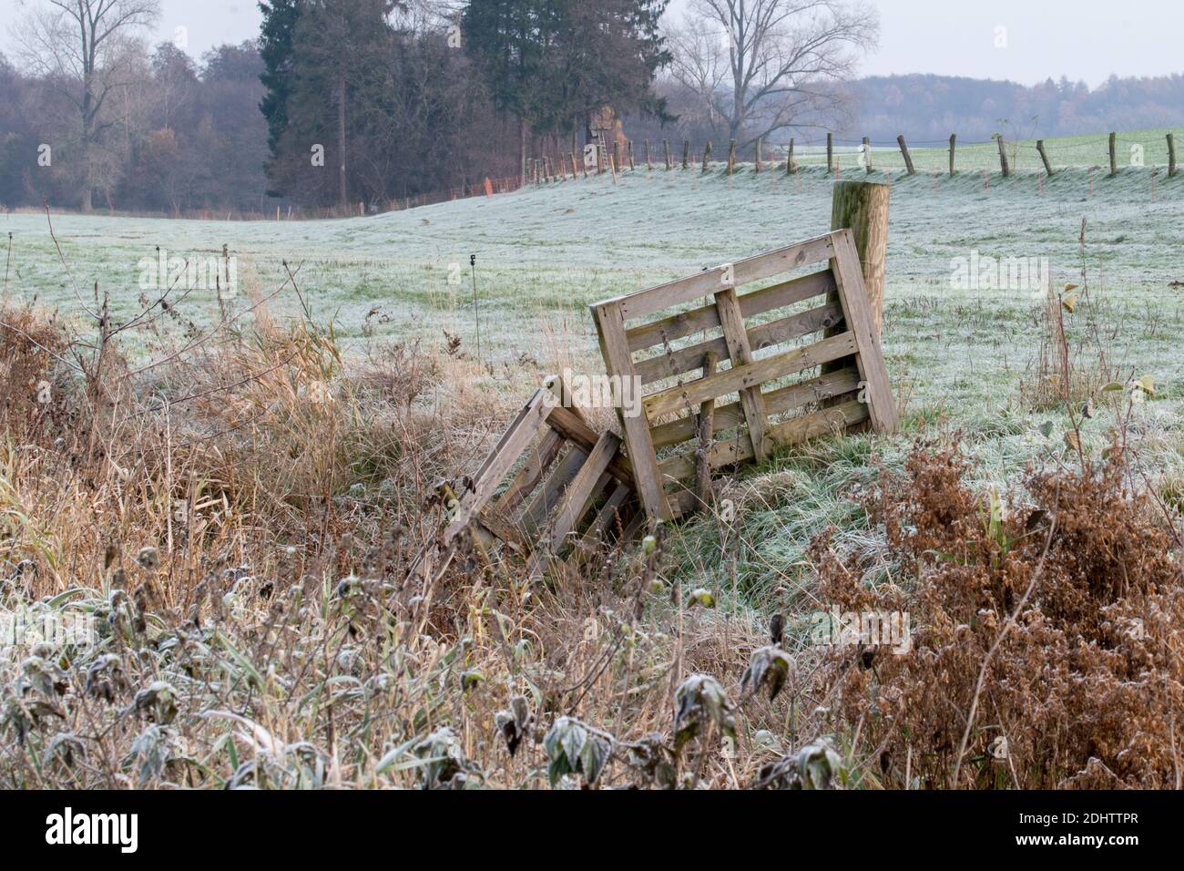 Hike in the Osnabrück region near Melle-Neuenkirchen on the Terra.track Königsbrück. It is a cold autumn day with hoarfrost on the meadows and fields. Stock Photo