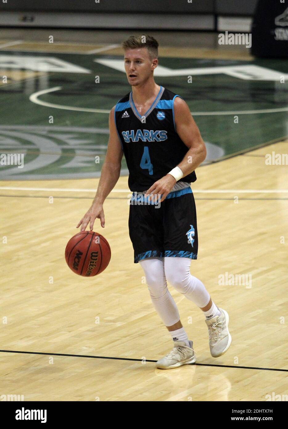 December 11, 2020 - Hawaii Pacific Sharks guard David Rowlands #4 brings the ball up court during a game between the Hawaii Rainbow Warriors and the Hawaii Pacific Sharks at SimpliFi Arena at the Stan Sheriff Center in Honolulu, HI - Michael Sullivan/CSM Stock Photo