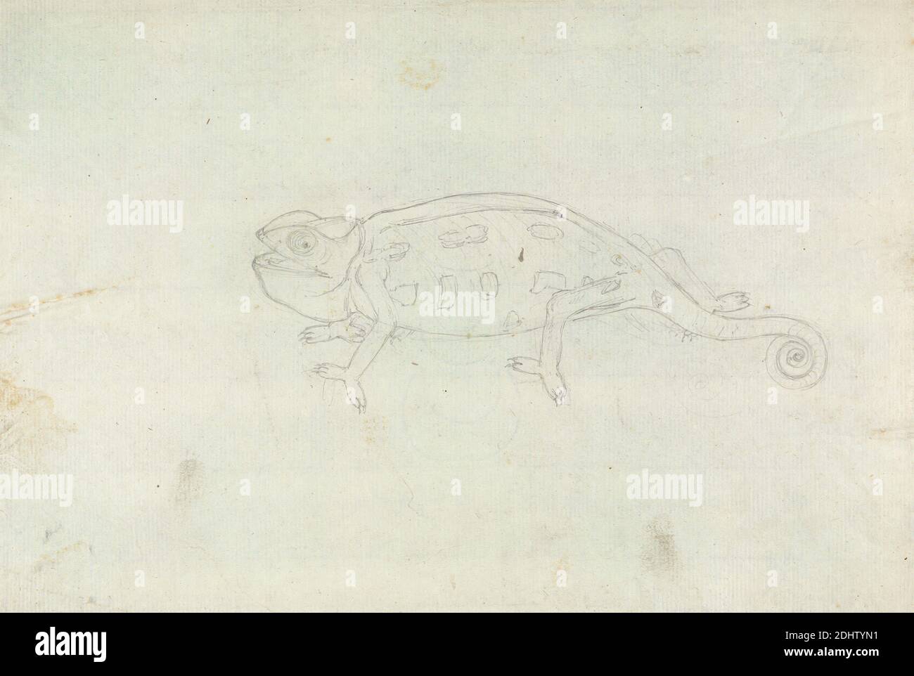An Eagle, James Bruce, 1730–1794, British, undated, Graphite on thin, smooth, cream wove paper, Sheet: 12 × 7 3/4 inches (30.5 × 19.7 cm), animal art Stock Photo