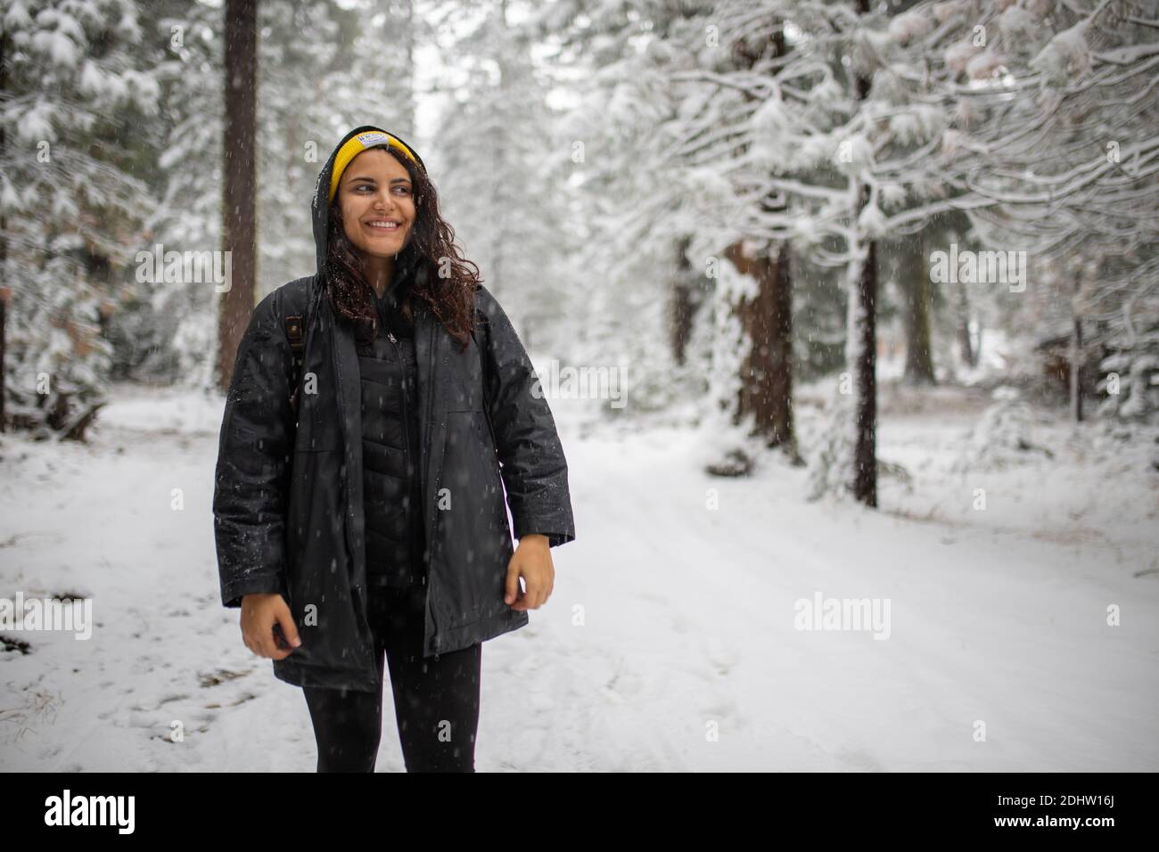 Happy woman standing in the middle of a snowy forest Stock Photo - Alamy