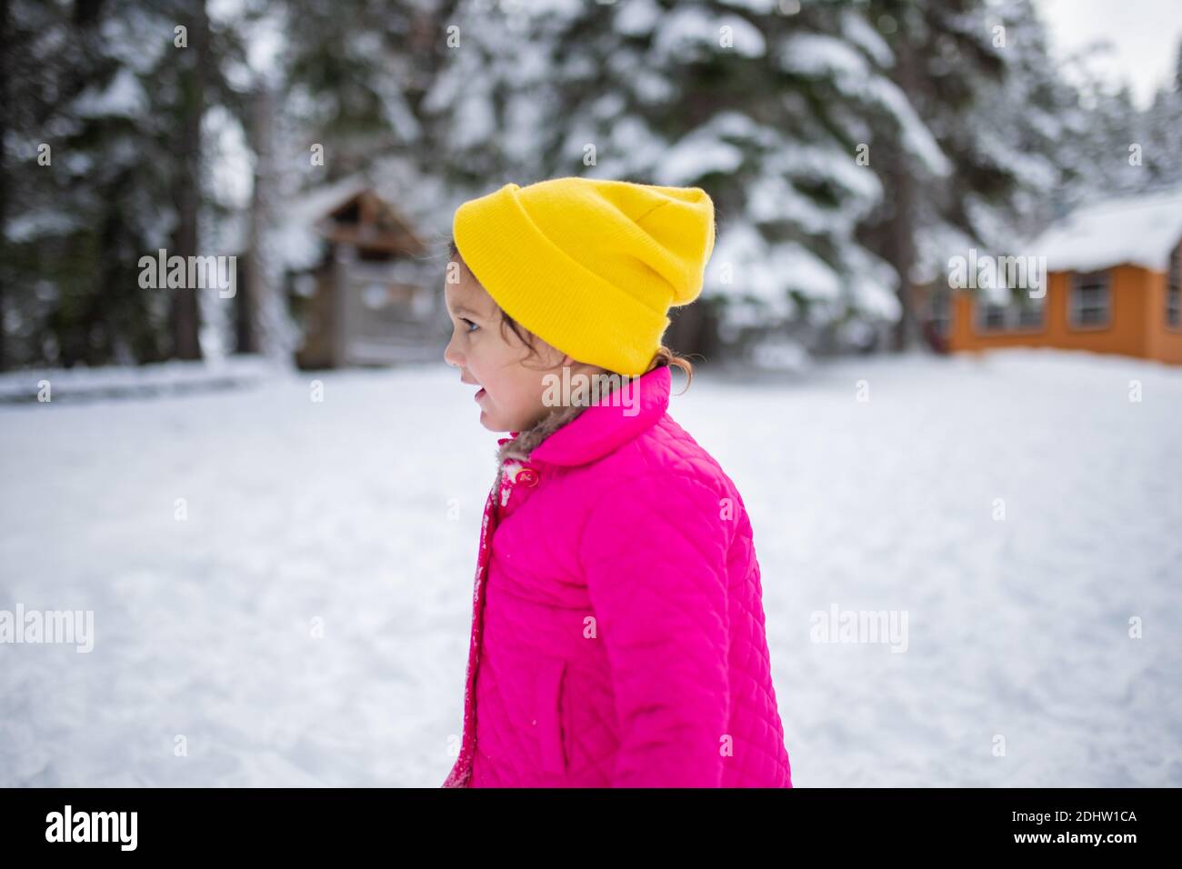 Happy little girl wearing a pink coat in snowy forest Stock Photo - Alamy