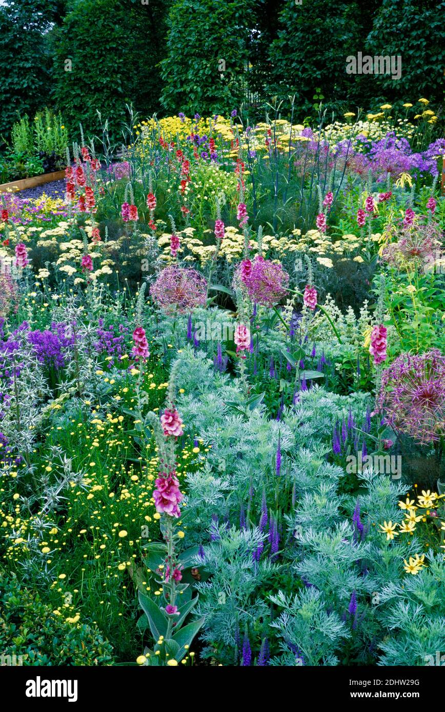 Organic Garden with a impfressive  wide and colourful display of flowering plants Stock Photo