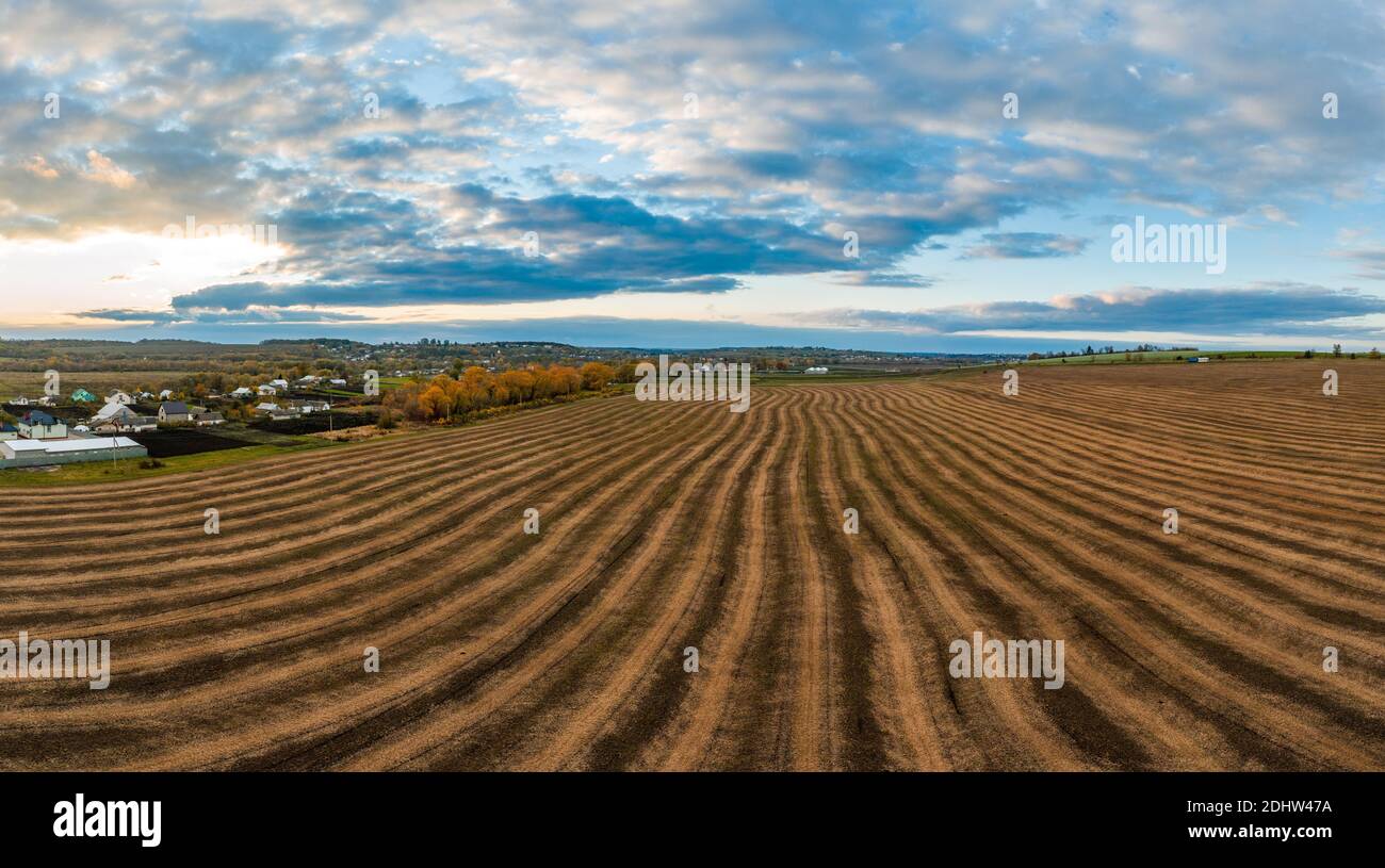 Aerial shot large wheat field hi-res stock photography and images - Alamy