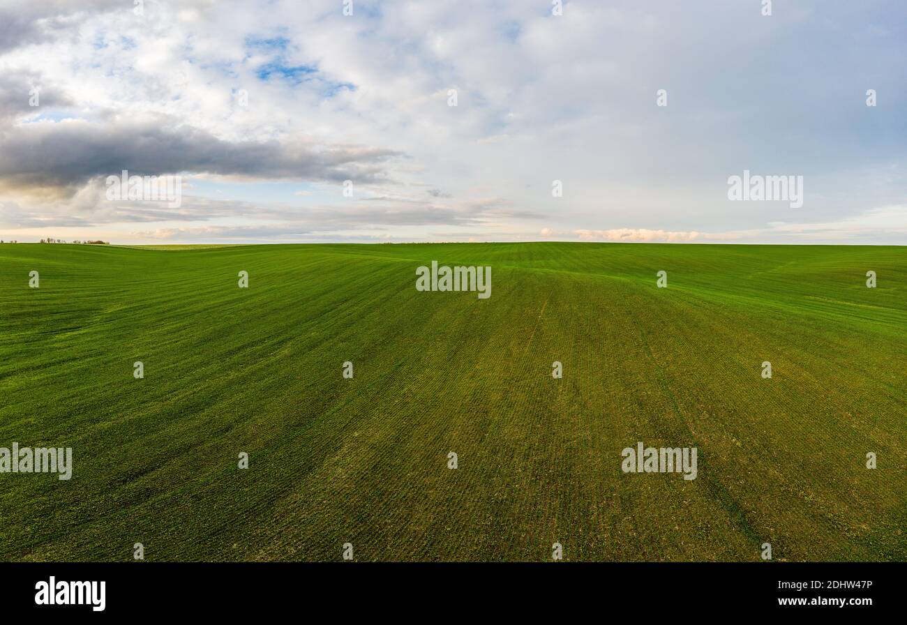 Aerial shot large wheat field hi-res stock photography and images - Alamy