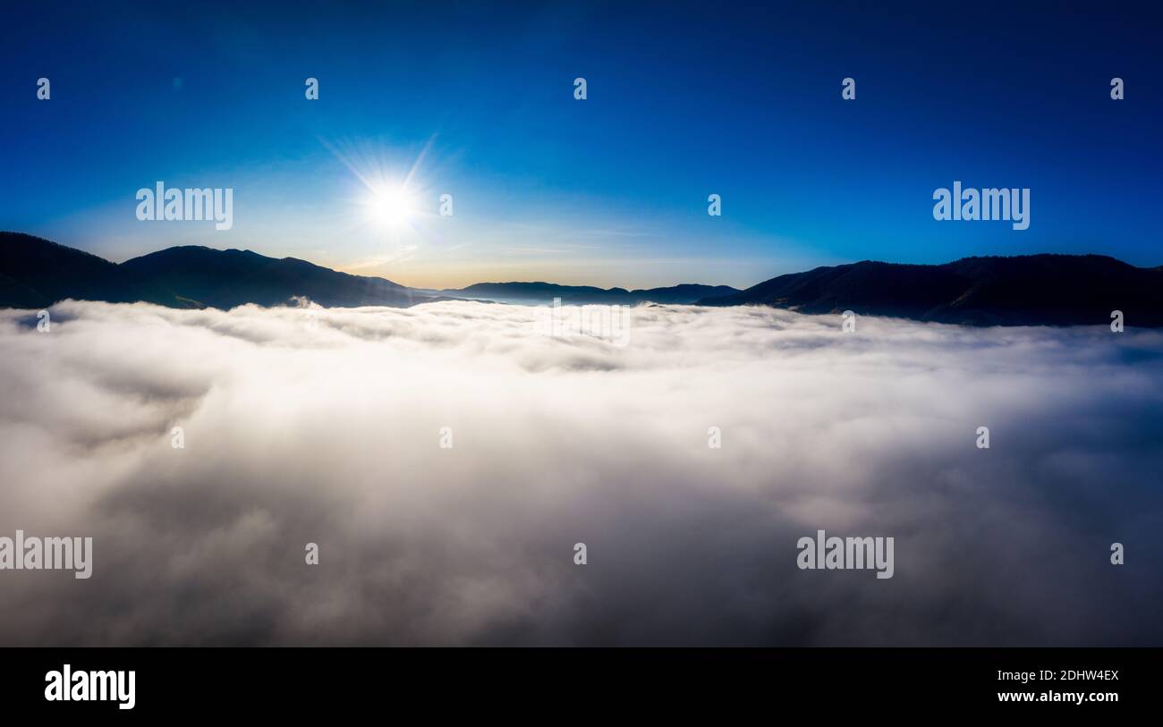 Aerial flying over misty pine hi-res stock photography and images - Alamy