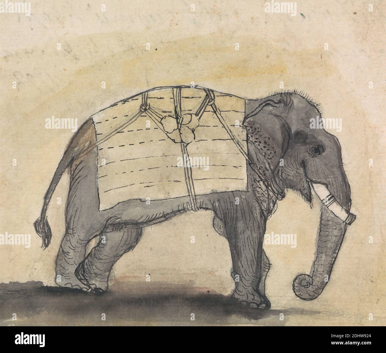Elephant, Gangaram Chintaman Tambat, active 1790s, Anglo-Indian, undated, Watercolor and graphite with pen and black ink on medium, slightly textured, cream laid paper, Sheet: 5 3/4 × 7 inches (14.6 × 17.8 cm), animal art Stock Photo