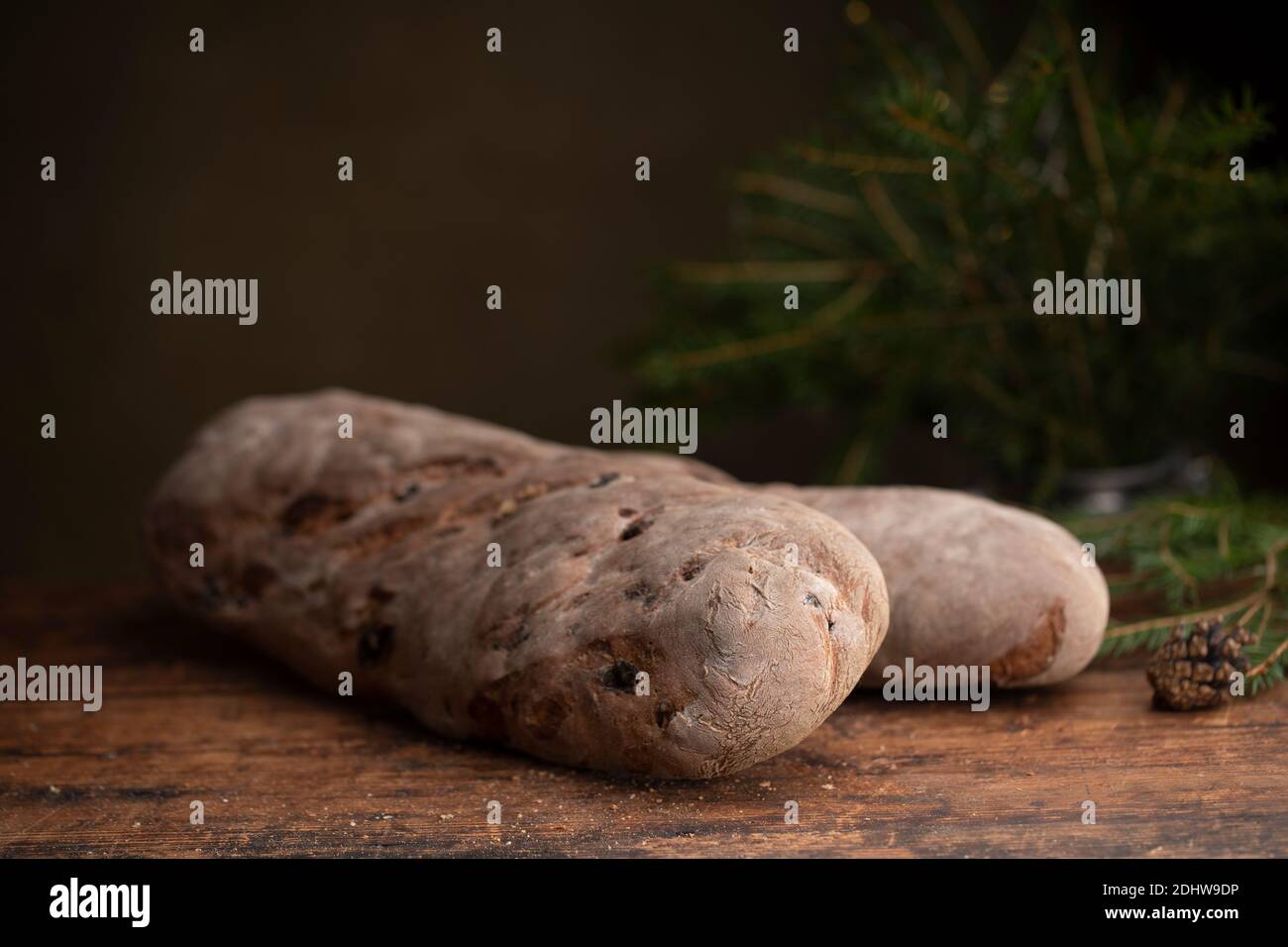 Vörtbröd Rye bread with raisins on a wooden table. With pinaceae branches in the background. Swedish traditional christmas bread wort bread or wort lo Stock Photo
