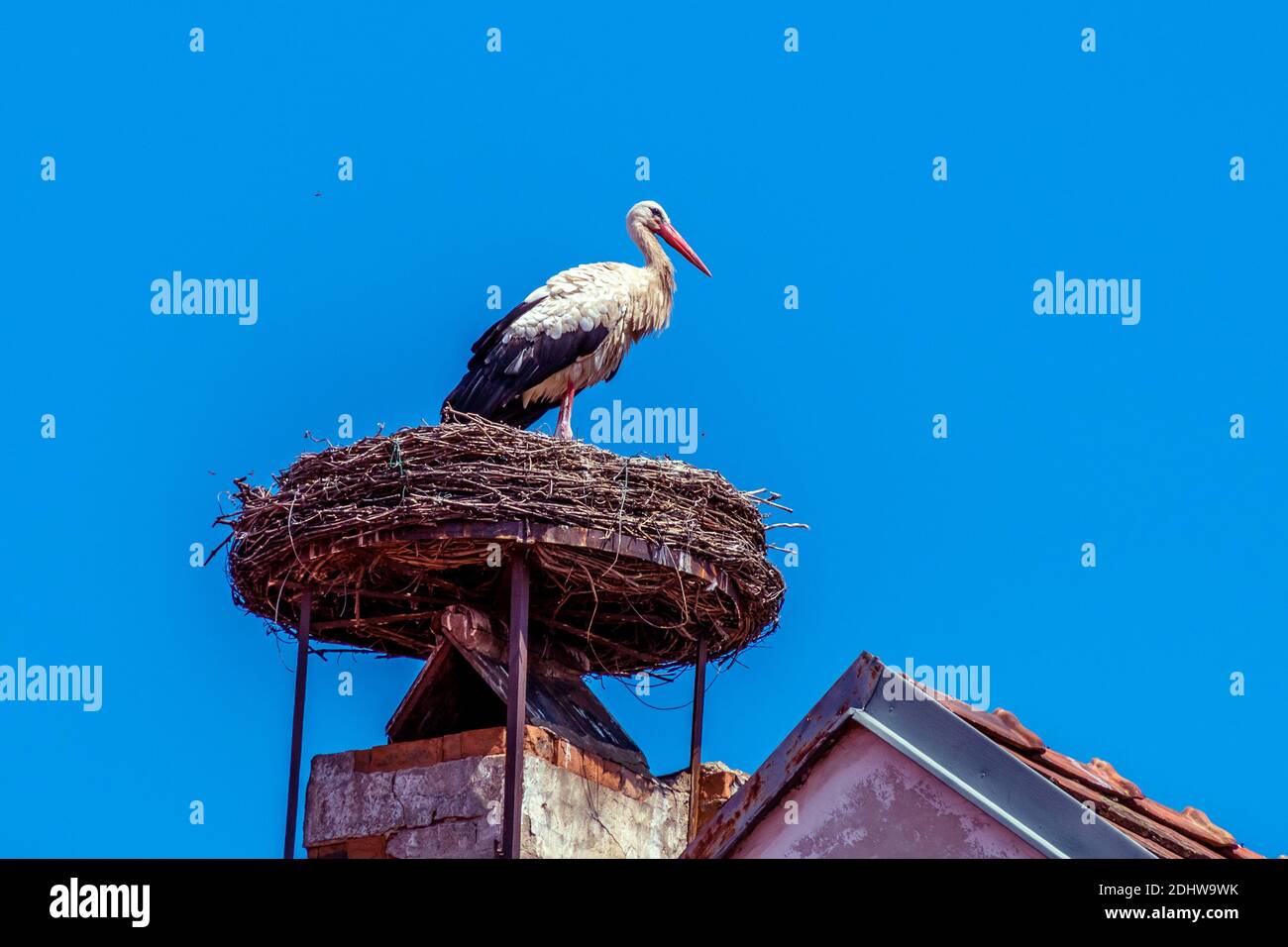 Ein Storchennest mit Storch auf einem Schornstein in Rust. Burgenland, Österreich Stock Photo