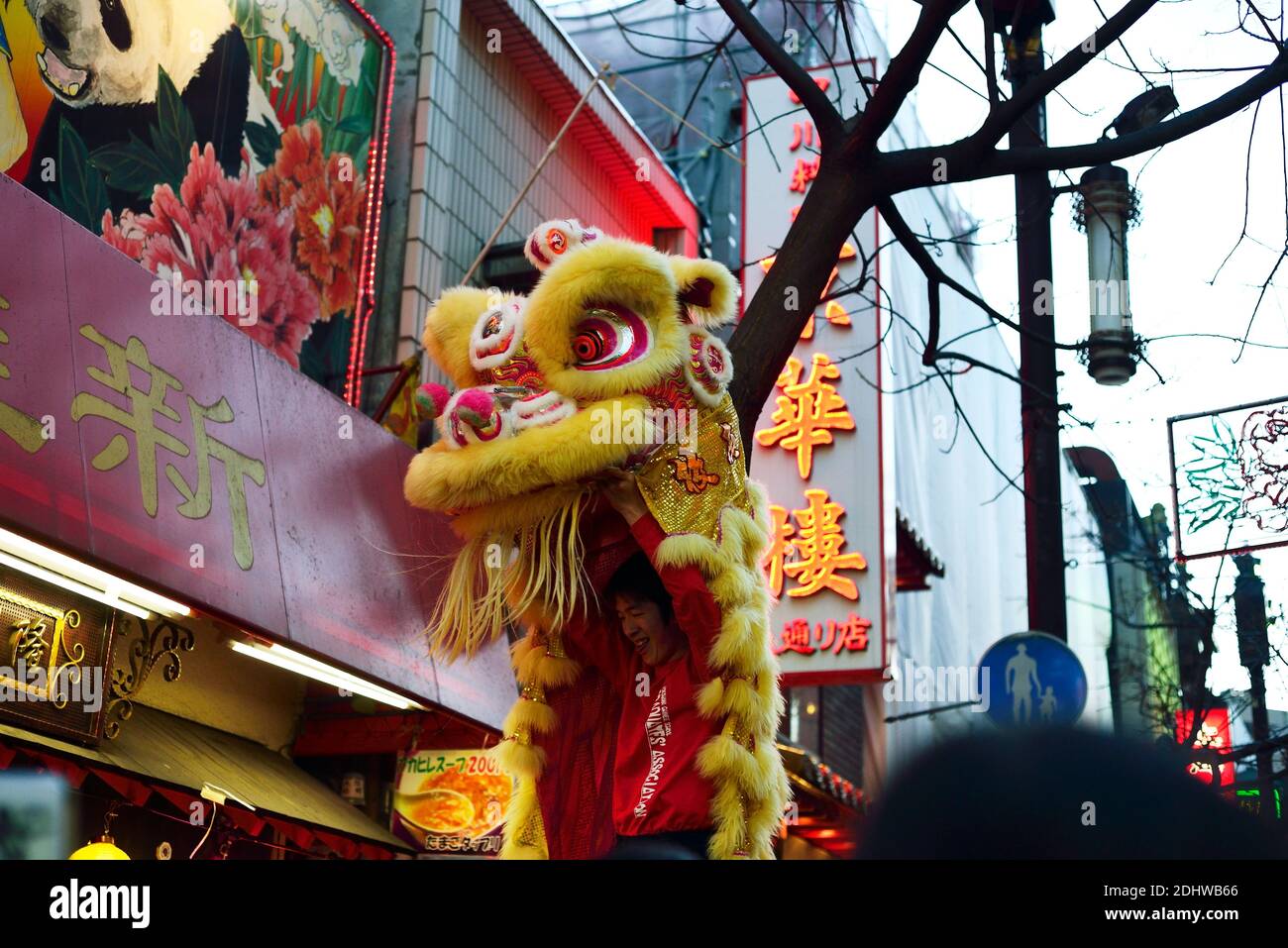 Shishimai dance during Chinese New Year in Yokohama Chinatown 2013 Stock Photo