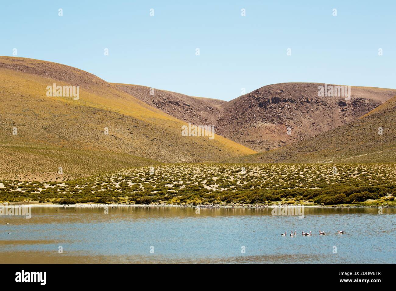 Lagoons at high altitude above the village of Machuca, Atacama desert, Chile Stock Photo