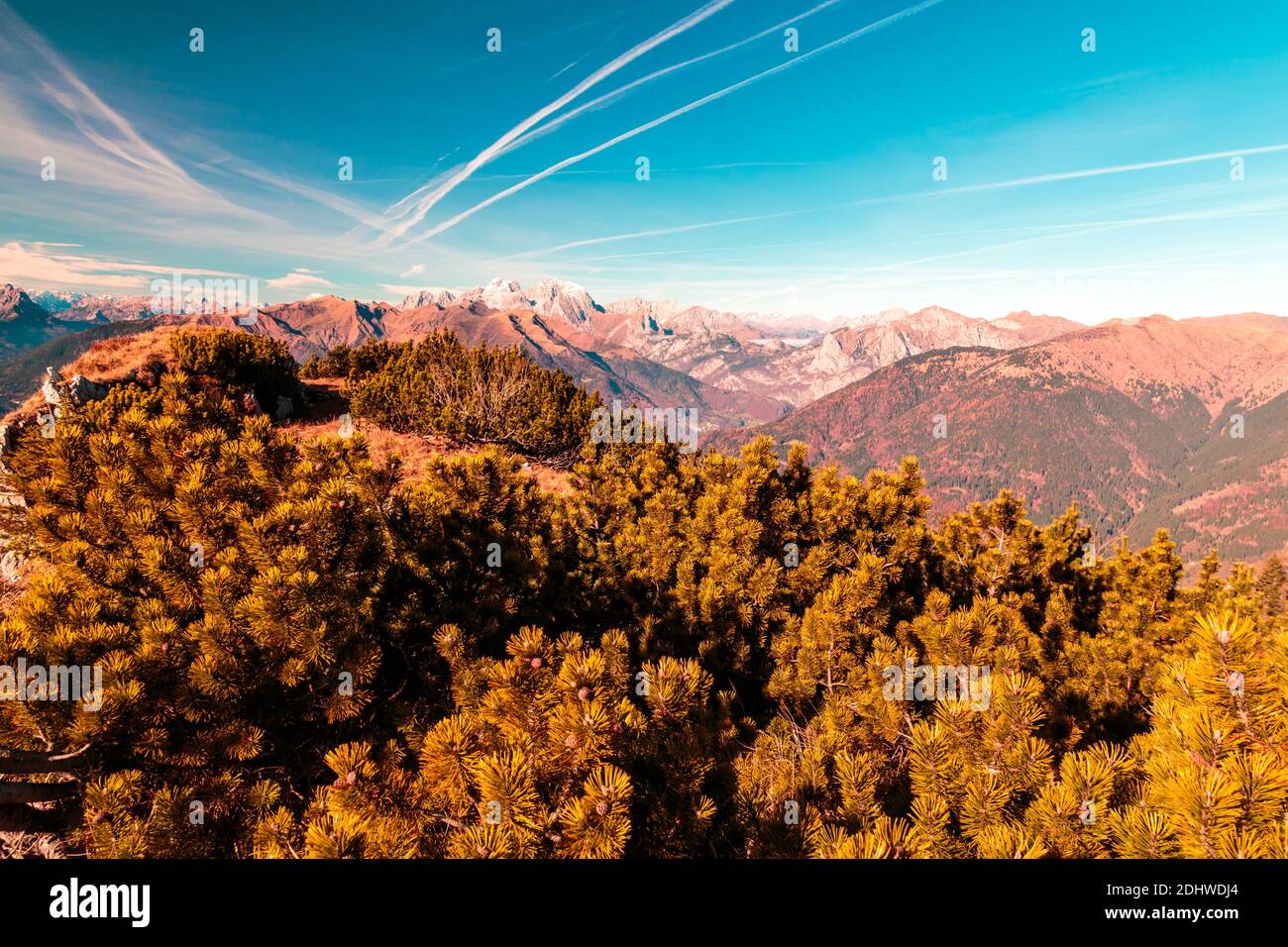 Sunny day in the carnic alps during a colorful autumn Stock Photo - Alamy