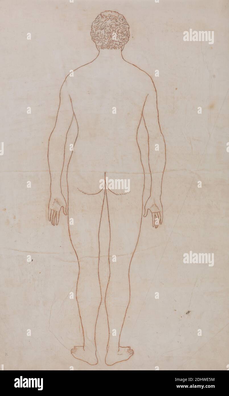 Outline of human body hi-res stock photography and images - Alamy
