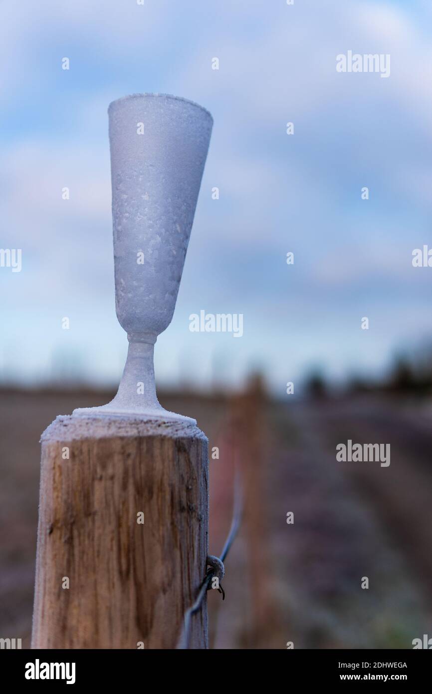 Frozen champagne glass left behind on a fence post after a party on new-year morning. Party leftover in icy wintery rural landscape after celebration. Stock Photo