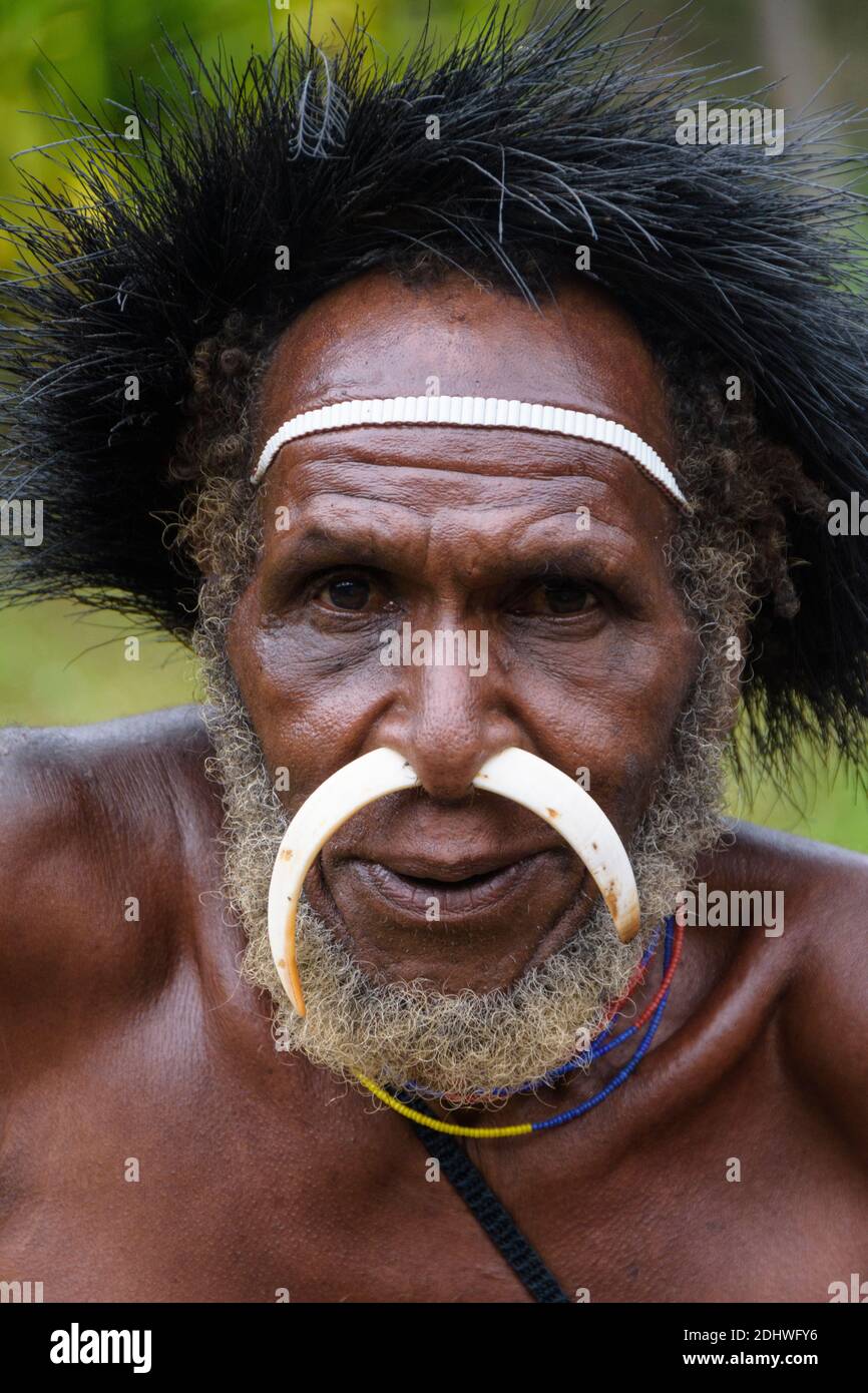 Baliem Valley, West Papua, Indonesia. Portrait of a Dani tribesman Stock Photo