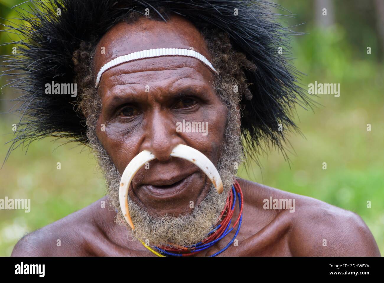 Baliem Valley, West Papua, Indonesia. Portrait of a Dani tribesman Stock Photo