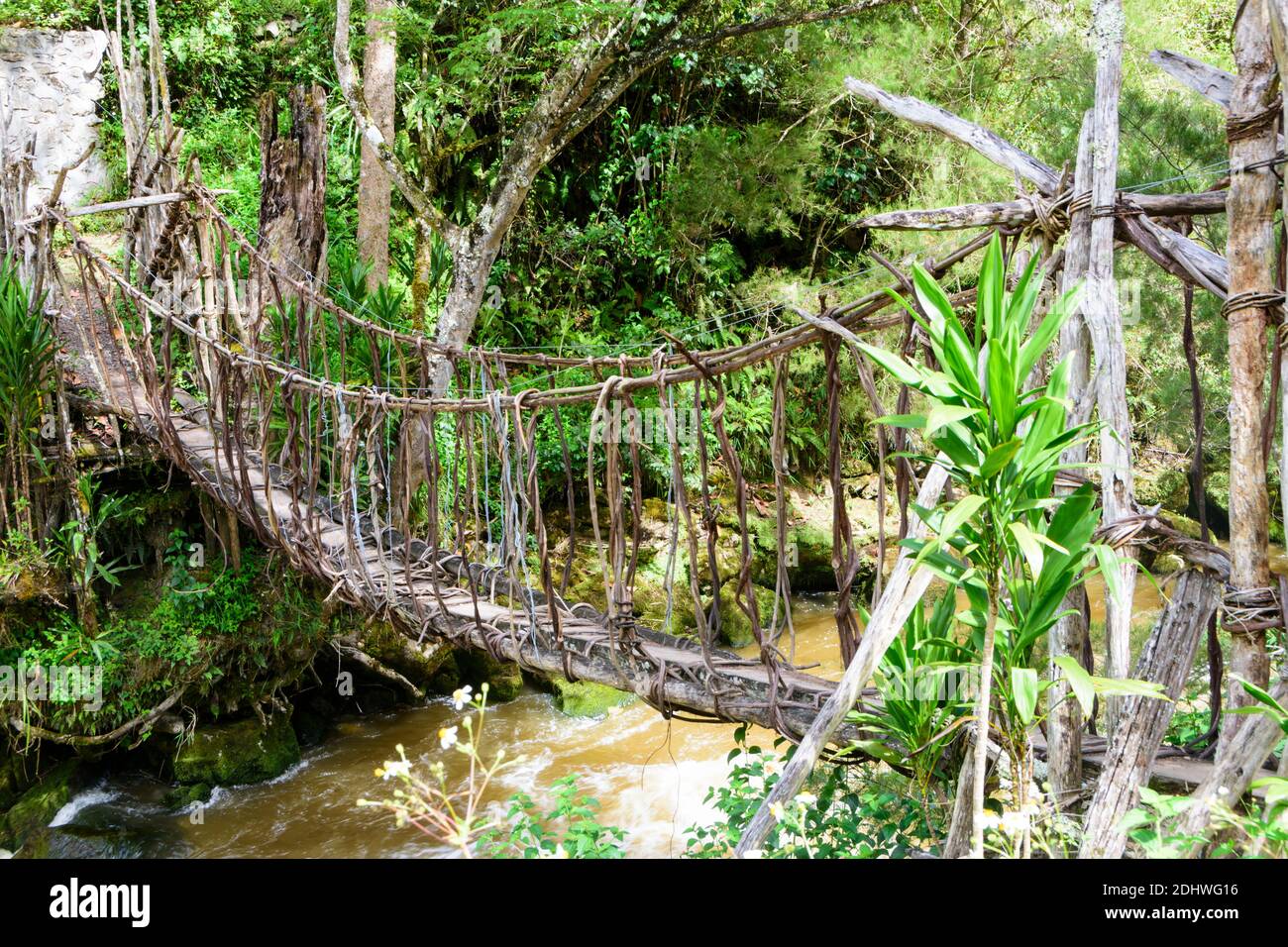 Traditional suspension bridge in the BaliemValley, West Papua, Indonesia Stock Photo