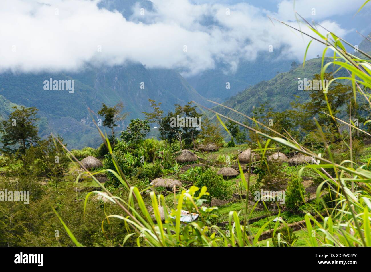 Aerial view of a Dani village in the Baliem Valley. West Papua, Indonesia Stock Photo