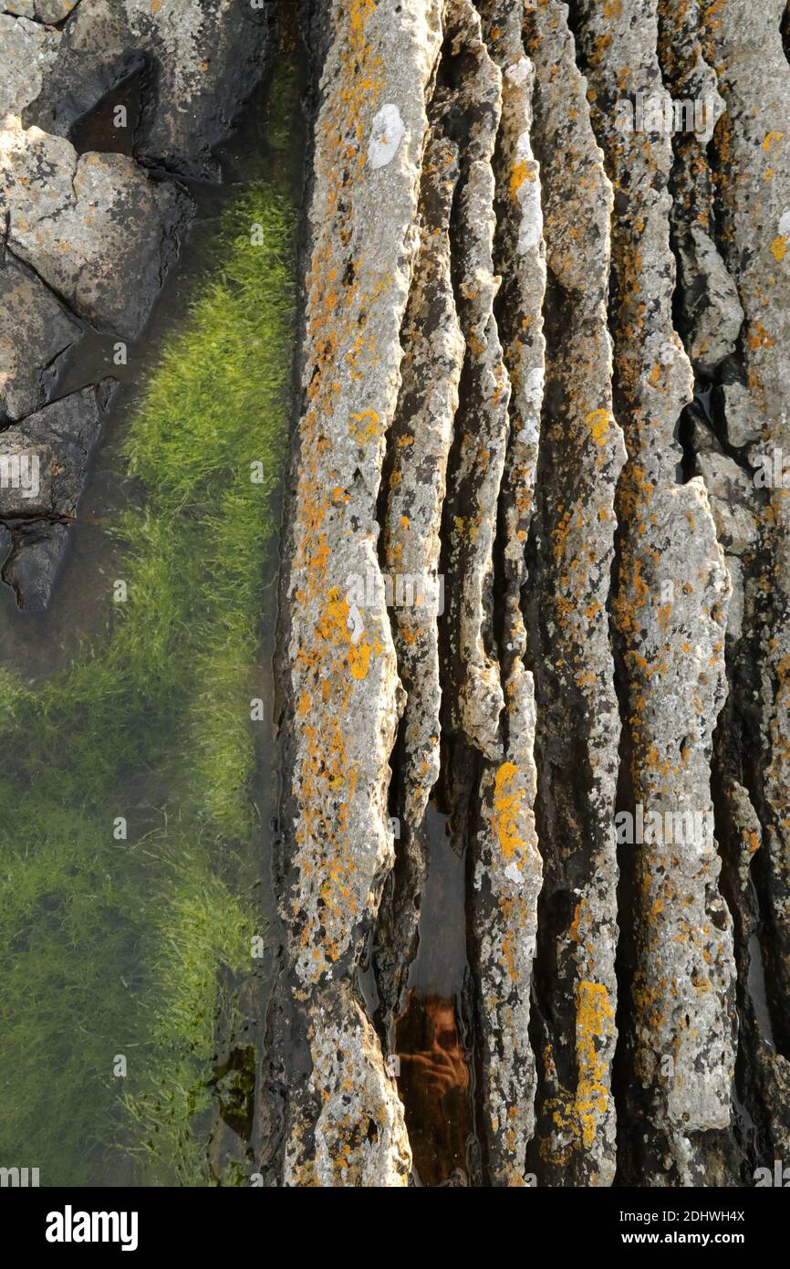 Rock pool and layered rocks with green algae Stock Photo