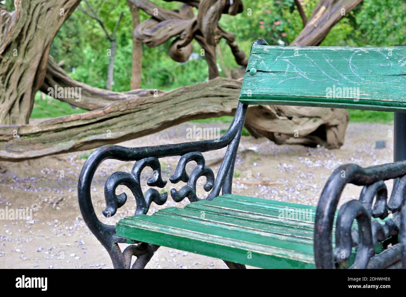 Green metal park bench hi-res stock photography and images - Alamy