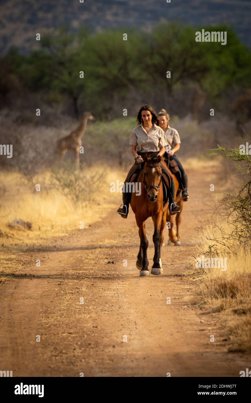 Brunette and blonde ride from southern giraffe Stock Photo