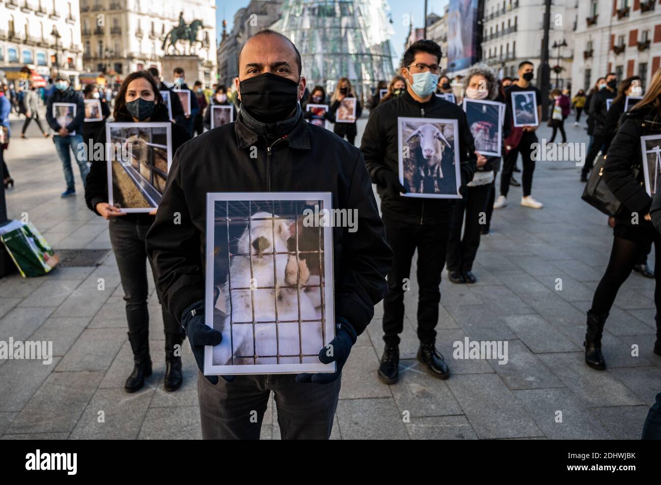 Madrid, Spain. 12th Dec, 2020. Animal rights activists carrying pictures of  animals in farms protesting against animal abuse called by 'Animal Equality'  (Igualdad Animal) group, denouncing the impact of industrial livestock on