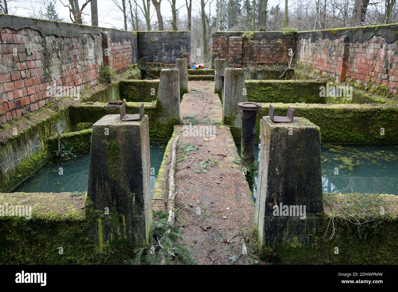 Harzgerode, ehemalige Kinder-Lungenheilstätte 1929-1931 von Godehard Schwethelm, 1998 geschlossen, Kläranlage Stock Photo