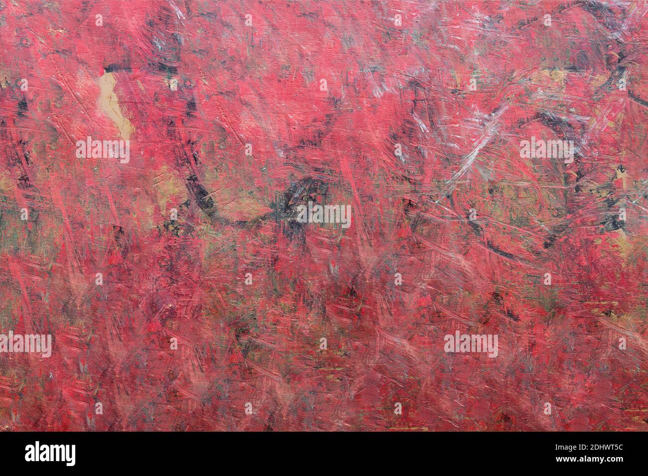 Maple wood with paint splatters and scratches. Abstract art. Background texture. Stock Photo