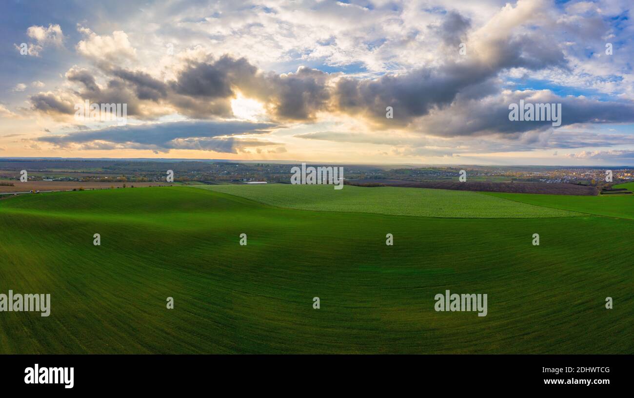 Aerial shot large wheat field hi-res stock photography and images - Alamy