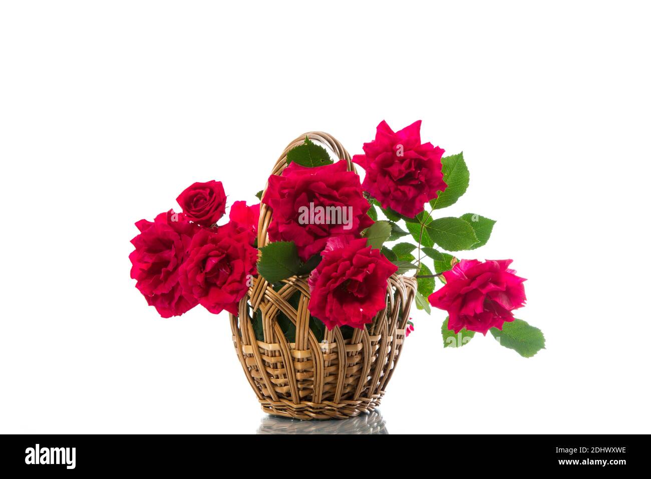 bouquet of beautiful red roses isolated on white background Stock Photo ...