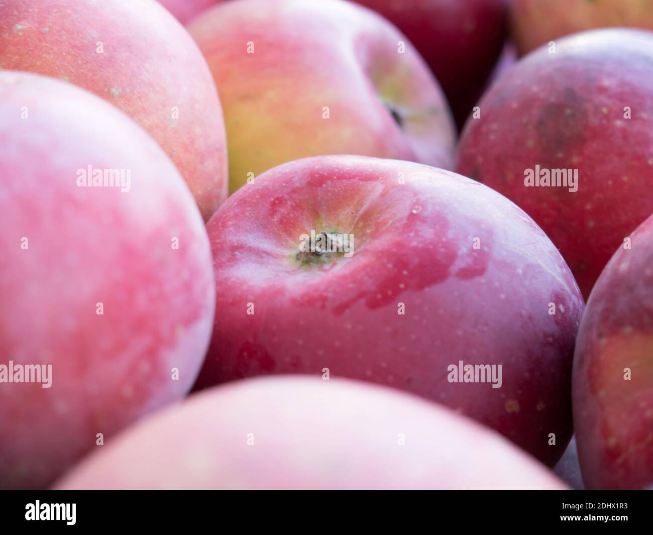 Apple variation hi-res stock photography and images - Alamy