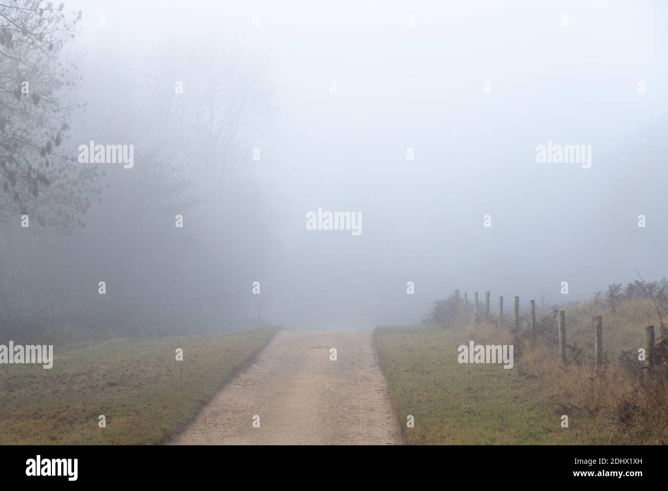 Straight road through mist to forest with ghostly trees in distance feeling lost. High quality photo Stock Photo