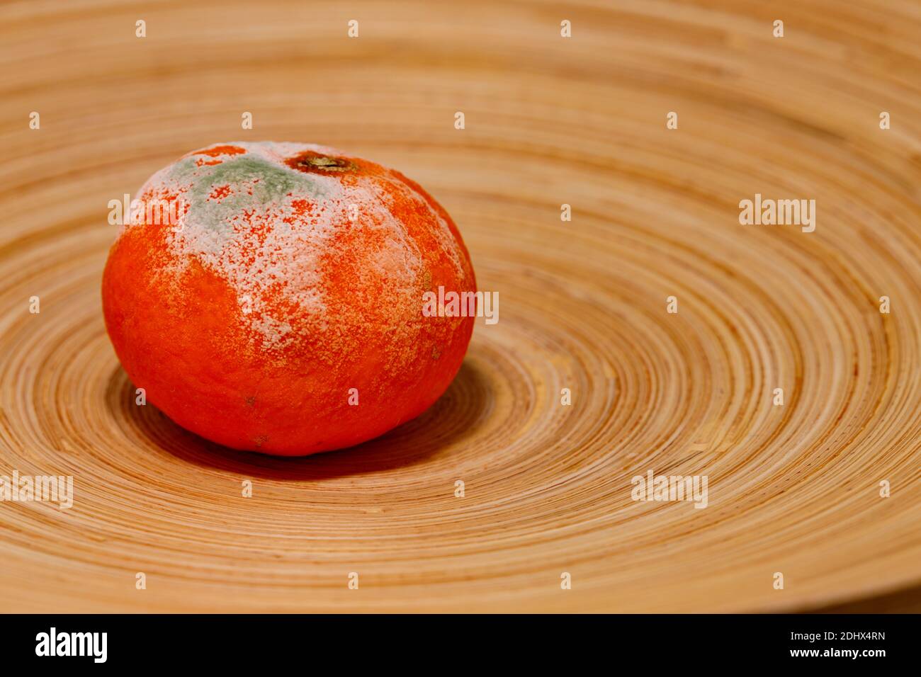 Rotten oranges hi-res stock photography and images - Alamy