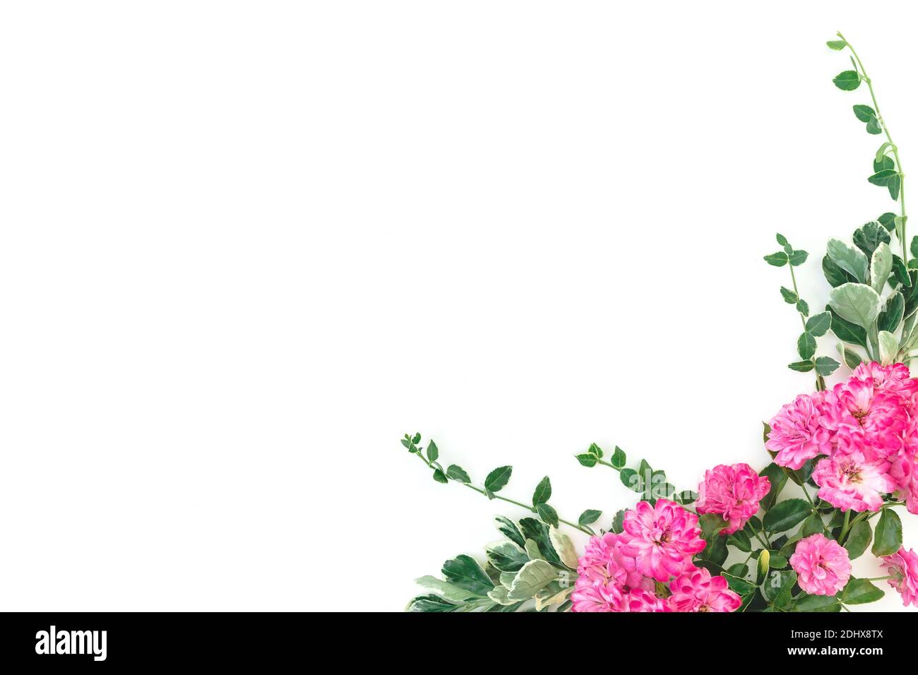 Floral frame made of pink roses and leaves on white background. Flat ...