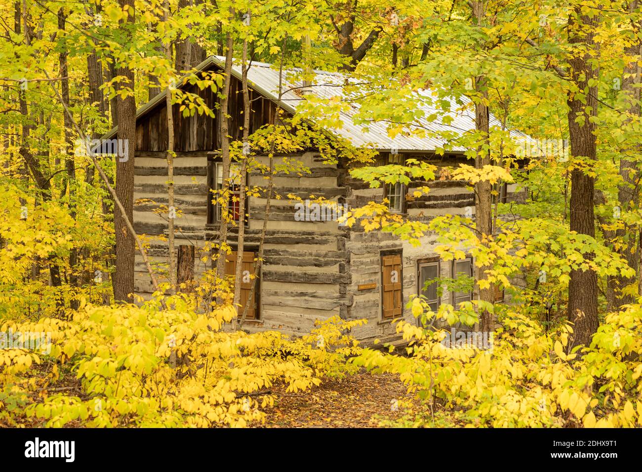 Cabin in the woods Stock Photo Alamy