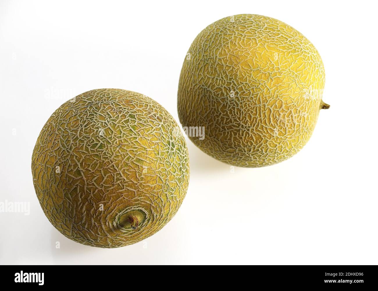 Italian Melon, cucumis melo, Fruits against White Background Stock Photo