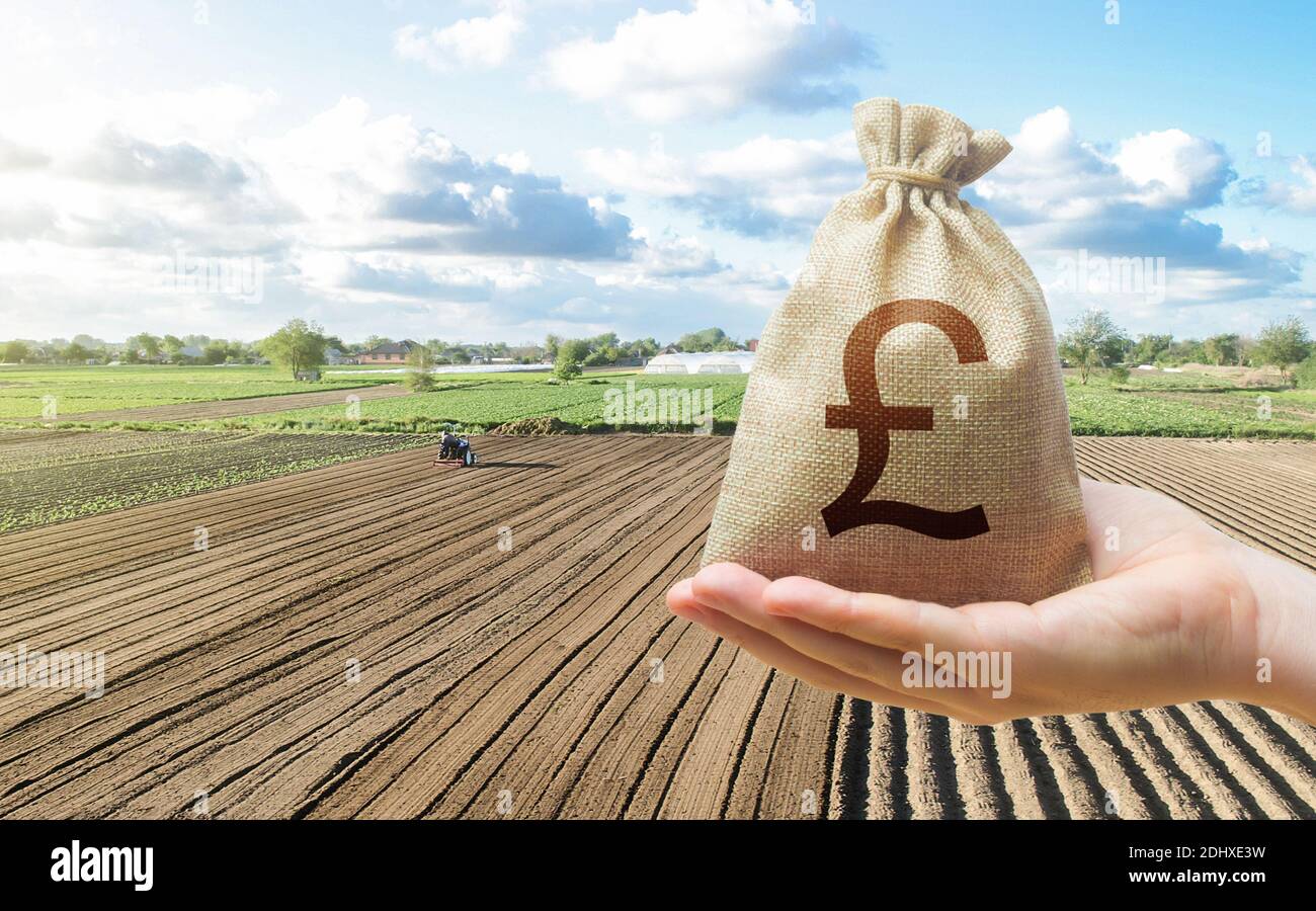 Hand with british pound sterling and a farmer on a tractor works on farm field. Financial support, subsidies for agriculture. Purchase or lease rent o Stock Photo