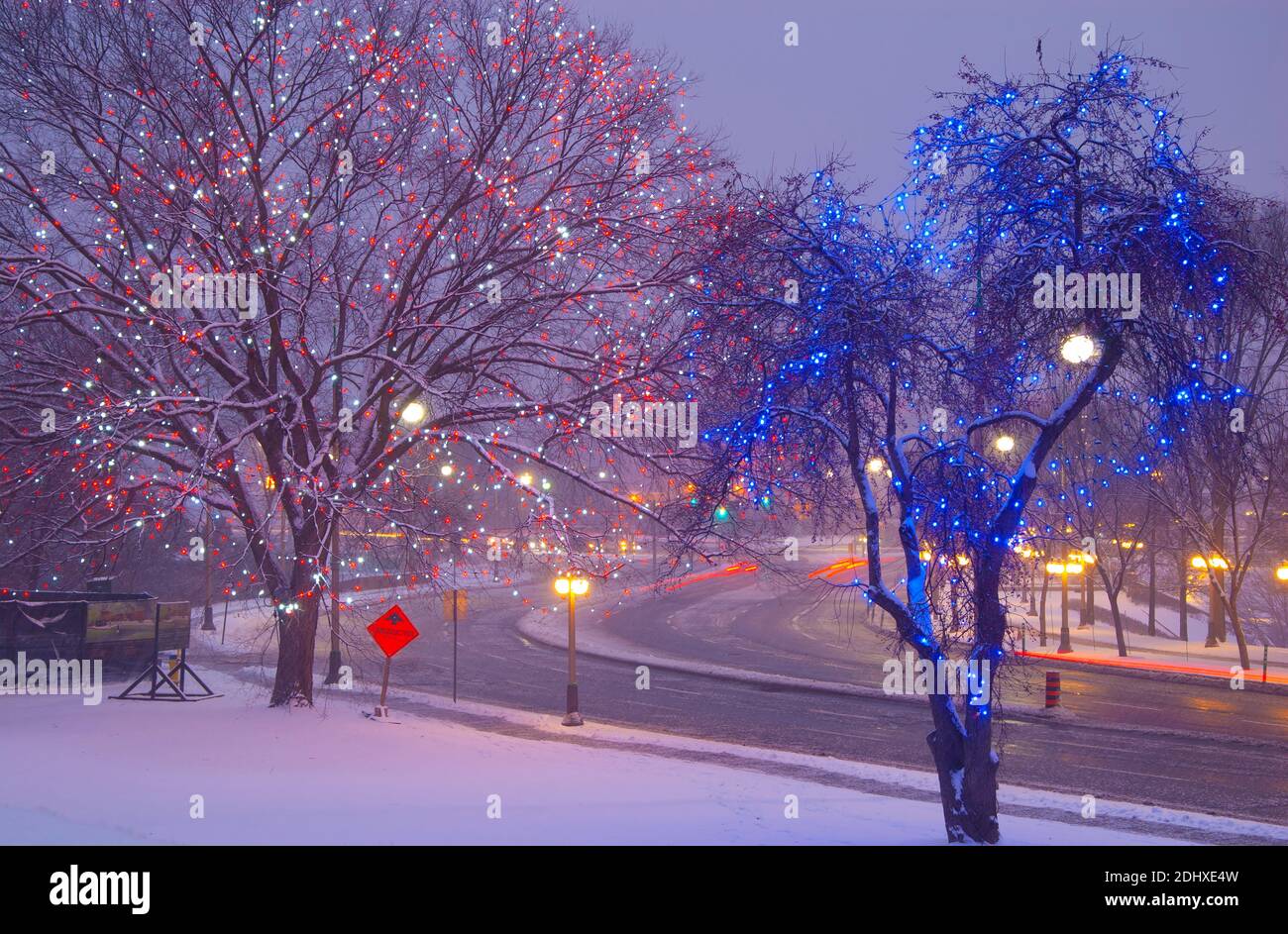 Christmas Lights along City Street with Fresh Snow at Night, Ottawa