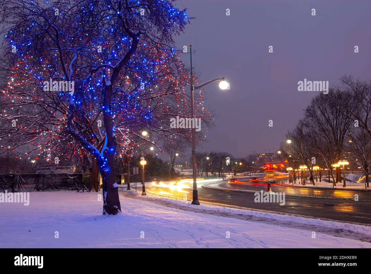 Christmas Lights along City Street with Fresh Snow at Night, Ottawa