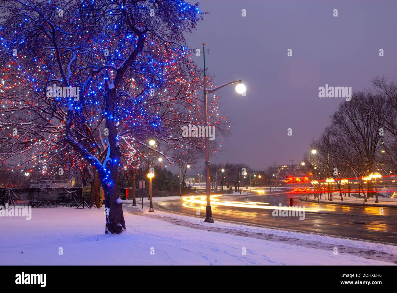 Christmas Lights along City Street with Fresh Snow at Night, Ottawa