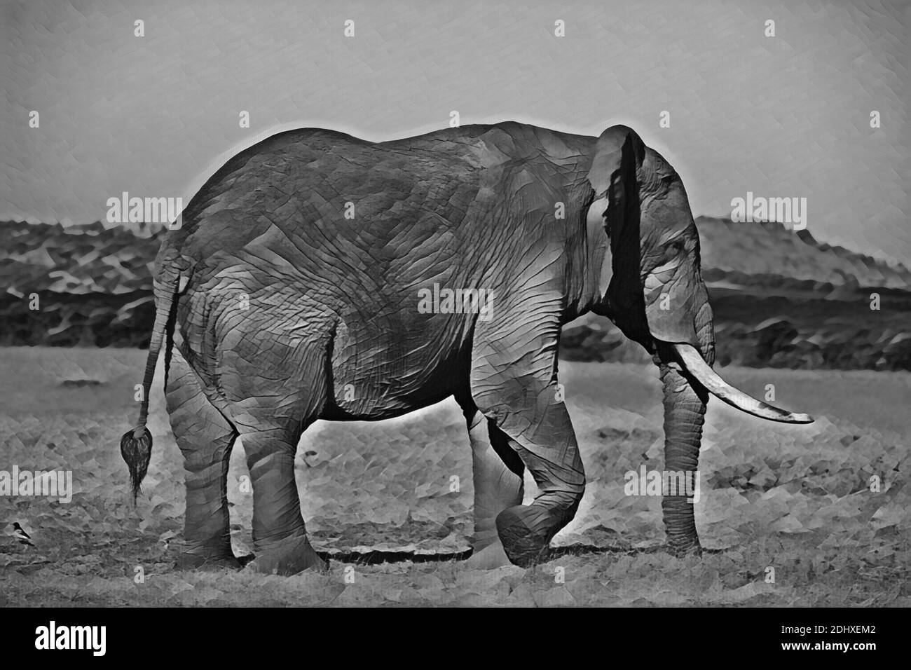 Africa, Kenya, Lone bull African elephant. Computer enhanced. Stock Photo