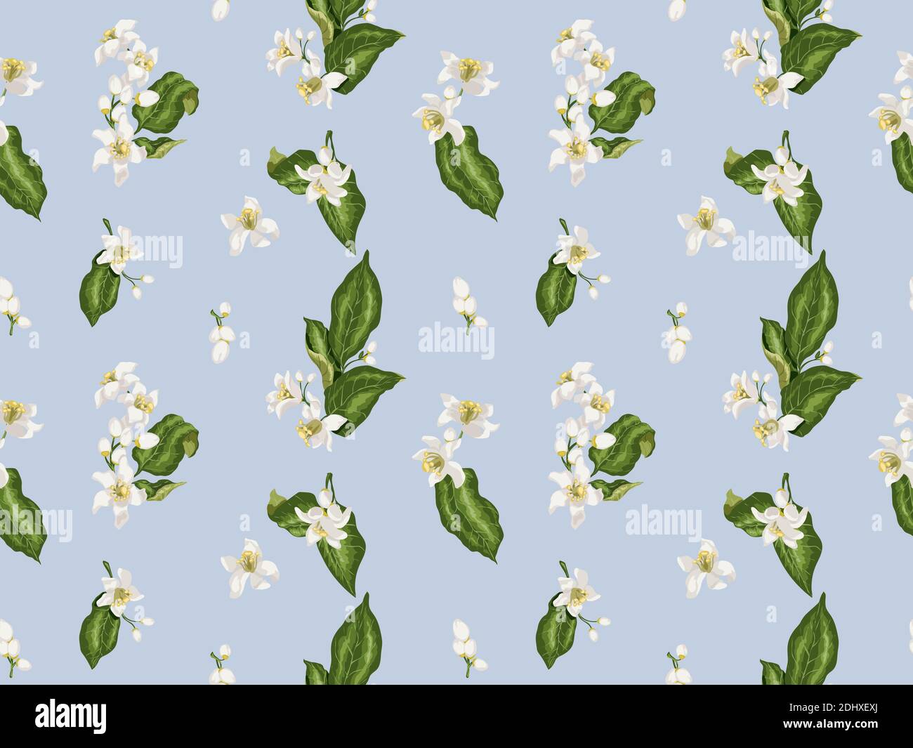 Citrus branches seamless pattern with flowers and leaves. Flowers of ...
