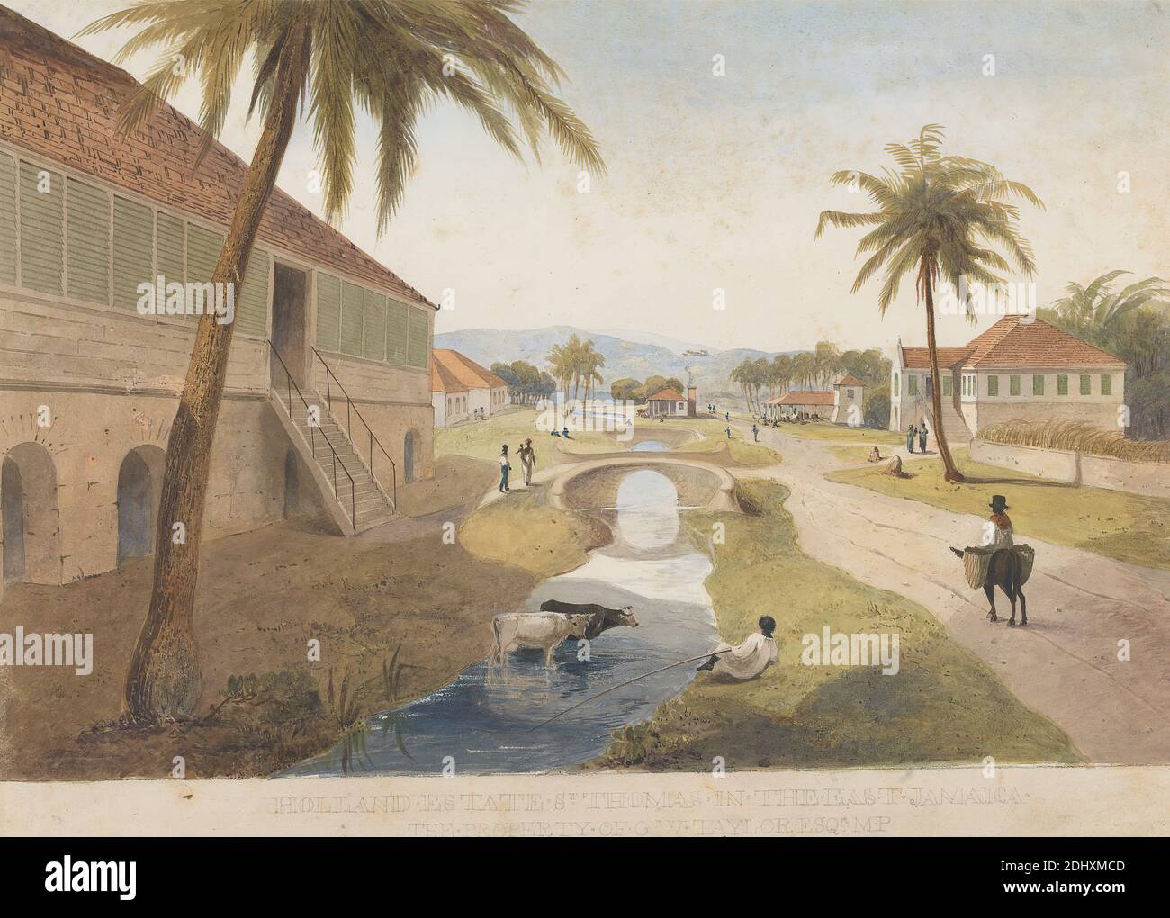 Holland Estate St Thomas In The East Jamaica James Hakewill 1778 1843 British Between 10 And 11 Watercolor On Moderately Thick Slightly Textured Cream Wove Paper Sheet 12 X 16 1 2in 30 5 X