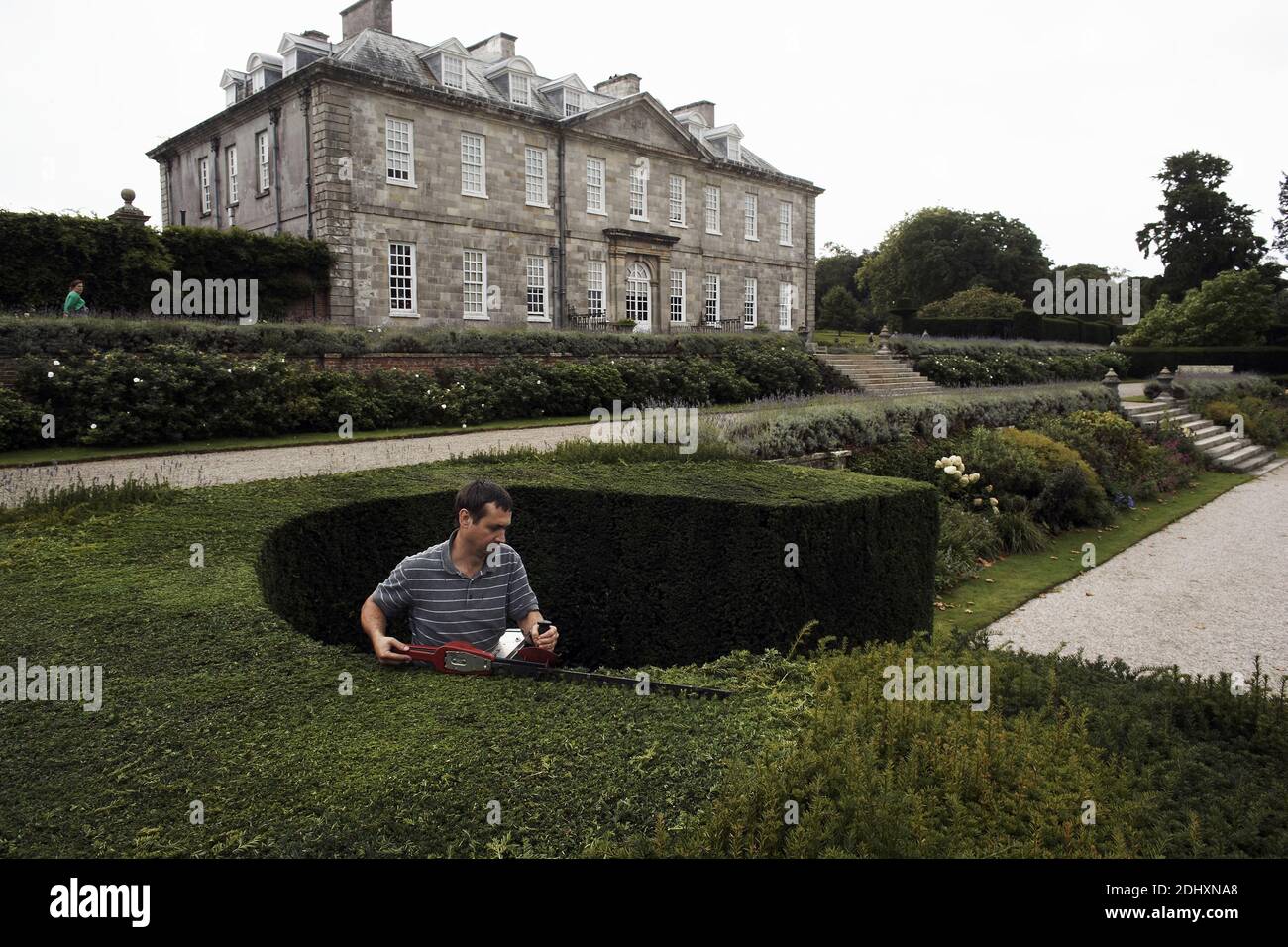 Gardener cuts the yew hedge in the formal gardens of this 18c mansion with electric hedge trimmer at Antony House, Torpoint, Cornwall, UK Stock Photo