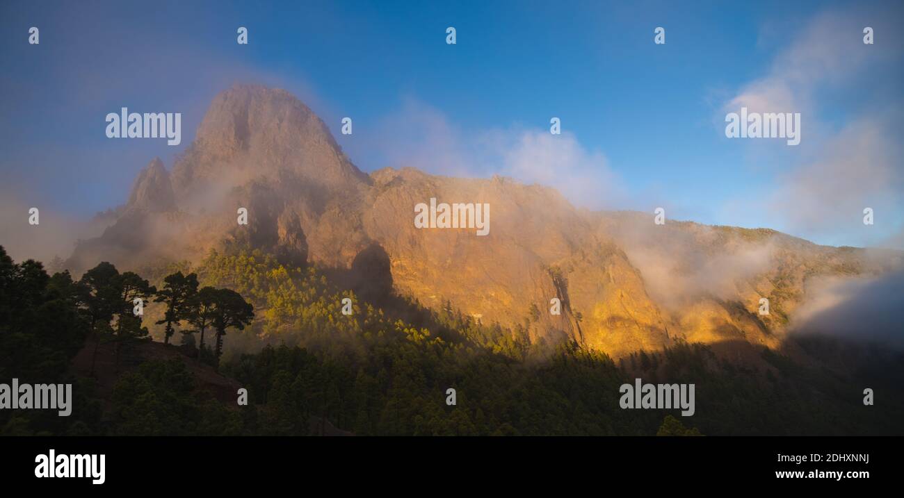 Dark blue misty forest pine hi-res stock photography and images - Alamy