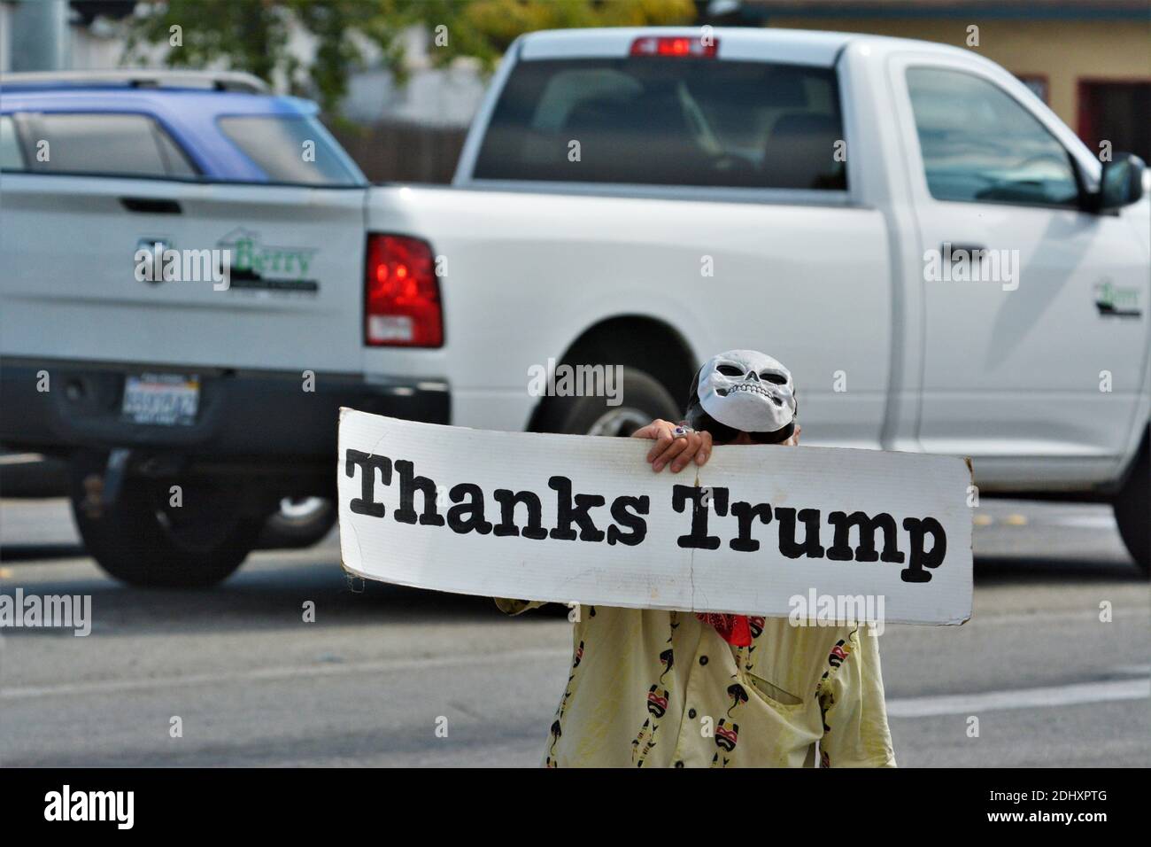 Man with skull mask hold up a Thanks Trump sign in California during 2020 elections season and is not happy  with 45 Stock Photo