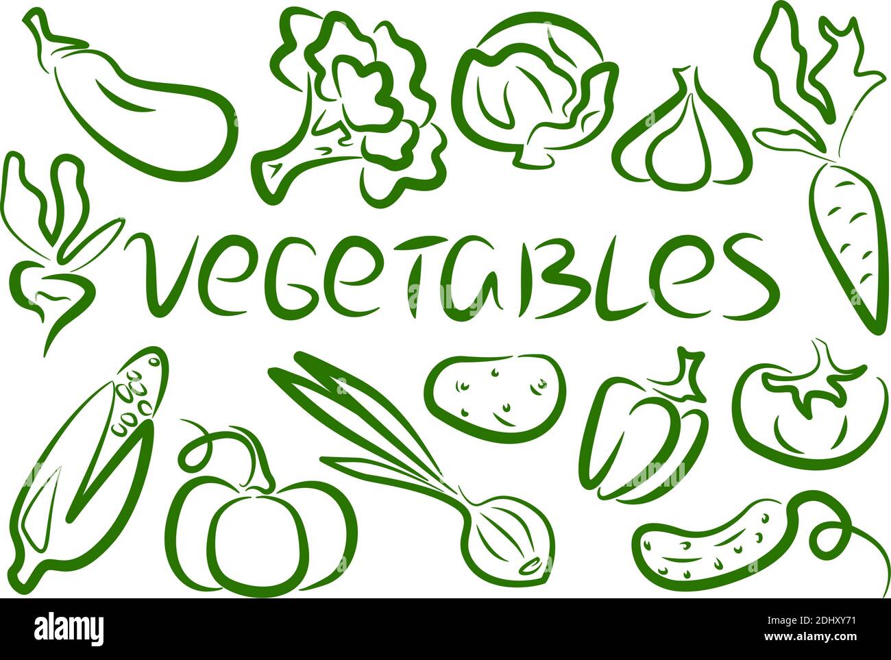 set of popular vegetables green outline Stock Vector Image & Art Alamy