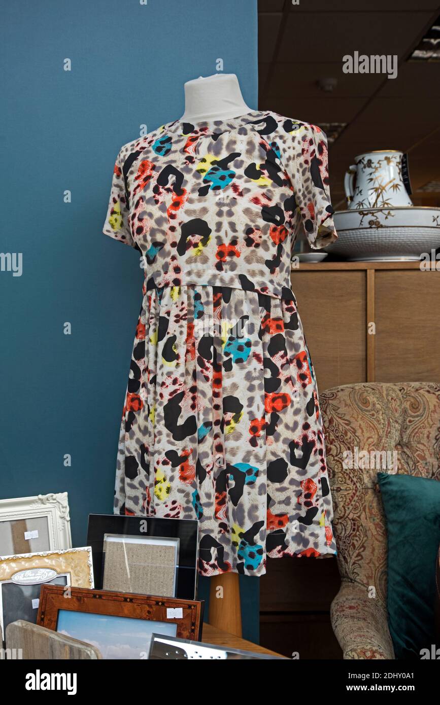 Secondhand dress on sale in the window of a charity shop in Edinburgh, Scotland, UK. Stock Photo