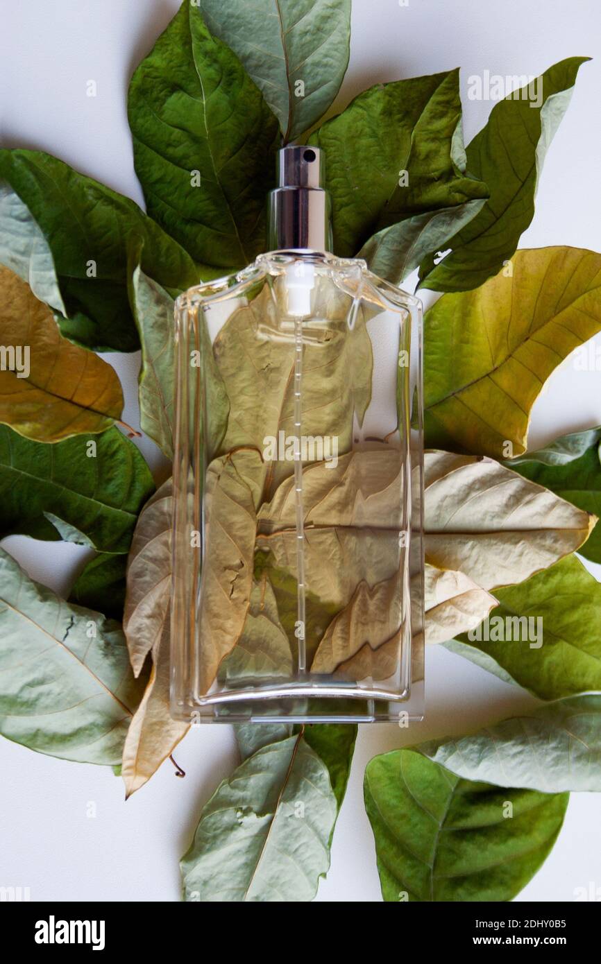 Glass perfume bottle on heap of dry leaves from a high angle view Stock Photo