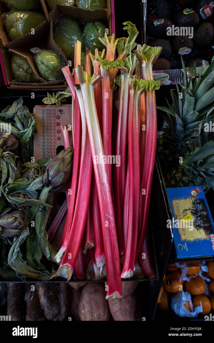 A box of rhubarb for sale outside a convenience store in Edinburgh,  Scotland, UK Stock Photo - Alamy