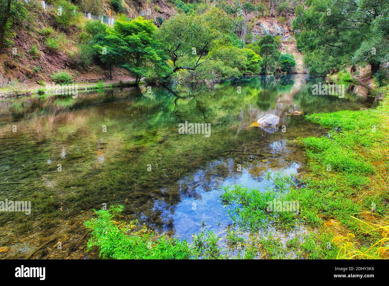 Pristine fresh blue lake with platypus in the Blue Mountains of Australia - Jenolan caves park. Stock Photo